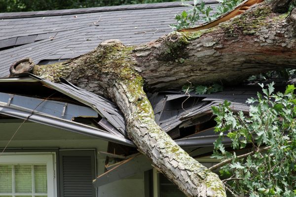 Storm Remediation in Bolingbrook