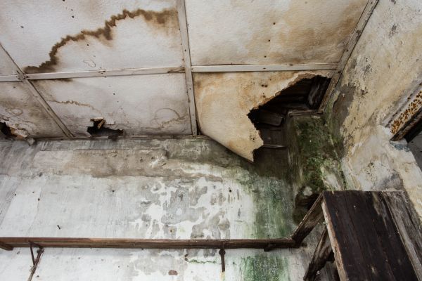 Water Damage Service in Bolingbrook