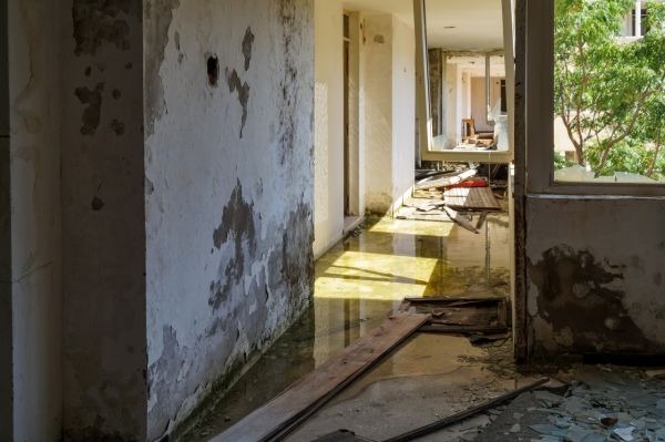 Water Removal Service in Bolingbrook