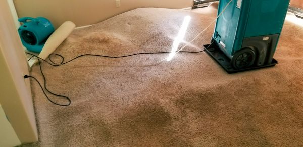 Carpet Water Extraction in Bolingbrook